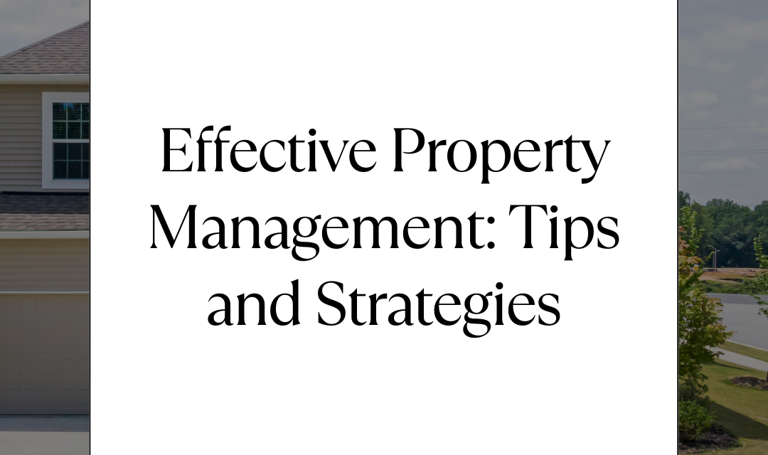 Property Management Strategies and Tips You Need for Success